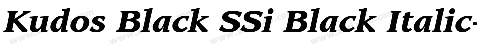 Kudos Black SSi Black Italic字体转换